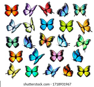 Big group of colorful butterflies, flying in different directions. Vector.