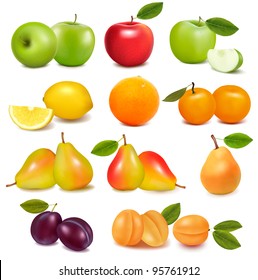 Big group of different fresh fruit. Vector.