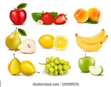 Big group of different fruit. Vector. 