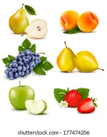 Big group of different fruit. Vector.