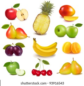 Big group of different fruit. Vector.