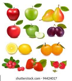 Big group of different fruit. Vector.