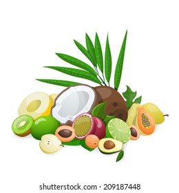 Big group of exotic fruit. Vector illustration