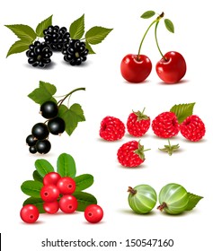 Big group of fresh berries and cherries. Vector illustration