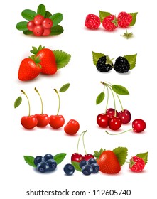  Big group of fresh berries. Vector illustration.