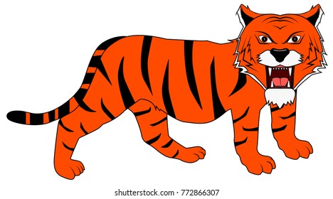 a big growling tiger
