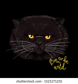 Big grumpy face of the fat cat on black background, born to be wild hand script, hand drawn sketchy vector illustration. 