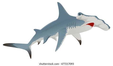 Big Hammerhead Shark. Isolated On White Vector Illustration