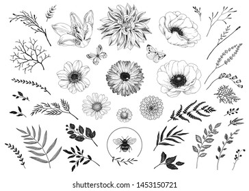 Big hand drawn collection of floral elements for your design. Vector illustration flowers, branches, leaves, butterflies and bee. Set wedding, invitation, holiday and greeting decors.