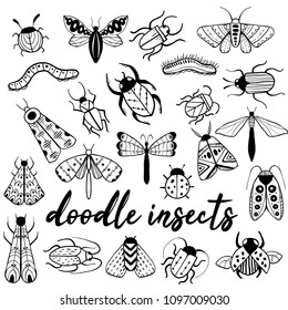 Big hand drawn doodle set with insects. Beetle, butterfly, moth, worm collection in outline style. Isolated on white. Black and white illustration