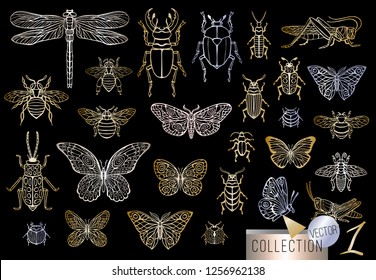 Big hand drawn golden line set of insects bugs, beetles, honey bees, butterfly; moth, bumblebee, wasp, dragonfly, grasshopper. Silhouette vintage gold silver sketch style vector illustration.