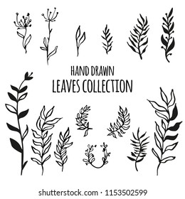 Big hand drawn leaves set. Large collection of vector botanical elements.