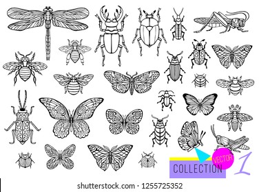 Big hand drawn line set of insects bugs, beetles, honey bees, butterfly; moth, bumblebee, wasp, dragonfly, grasshopper. Silhouette vintage sketch style engraved illustration.