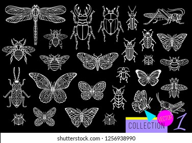 Big hand drawn line set of insects bugs, beetles, honey bees, butterfly; moth, bumblebee, wasp, dragonfly, grasshopper. Silhouette vintage sketch style vector illustration. Black background, outline.