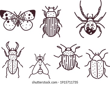 Big hand drawn line set of insects . insects vector illustration