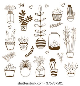 Big hand drawn set of house plants