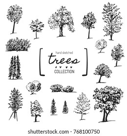 Big hand drawn trees collection. Vector sketch of oak, ash, birch, spruce, bushes, linden, maple, apple tree. Ink silhouettes of trees. Nature and parks design elements.