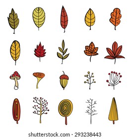 Big hand drawn vector package of autumn objects. Autumn leaves, berries, mushrooms, trees. Icons collection.