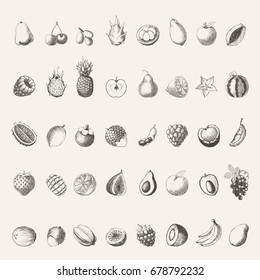 Big hand-drawn fruits collection. Eps10 vector. 