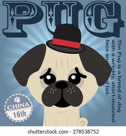 Big head dog (pug) in a modern fashion magazine cover , vector illustration background , eps10