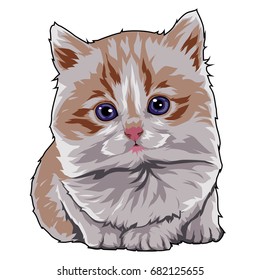 Big Head Kitten - Vector Illustration