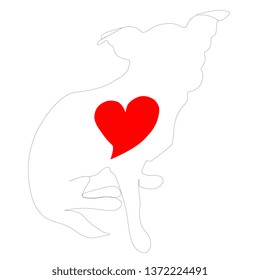 Big heart in small chihuahua