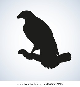 Big Hieraaetus of family accipitrine isolated on white. Dark ink hand drawn picture sketch in art retro engraving style pen on paper. Closeup side view with space for text on grey sky
