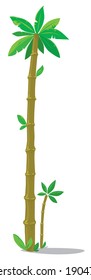 Big high palm tree with small sprout. Children vector illustration