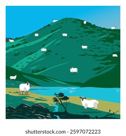 big hill with lots of sheep