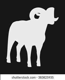 Big horn Sheep