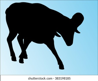 Big horn sheep silphoette