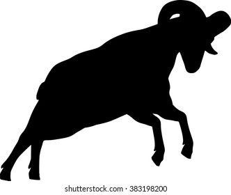 Big horn sheep silphoette