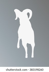 Big horn sheep silphoette