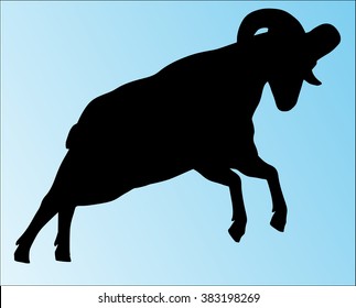 Big horn sheep silphoette
