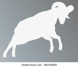 Big horn sheep silphoette