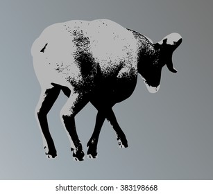 Big horn sheep silphoette