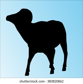 Big horn sheep silphouette isolated.