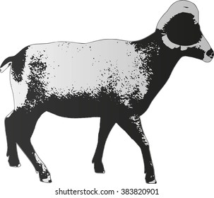 Big Horn Sheep Silphouette Isolated Stock Vector (Royalty Free ...