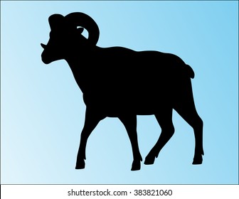 Big horn sheep silphouette isolated.