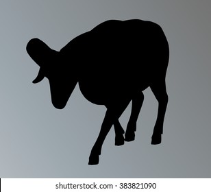 Big horn sheep silphouette isolated.