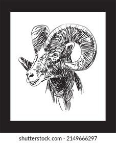 Big Horn Sheep Vector Free Hand  Illustration. Wall Art.