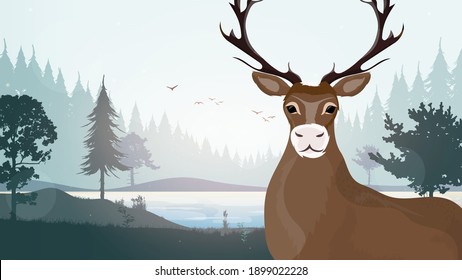 Big horned deer in the forest. Silhouettes of trees. Vector.