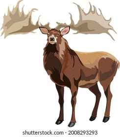 Big Horned Deer Or Irish Elk. Vector Illustration