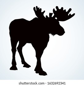 Big horned elk. Vector drawing