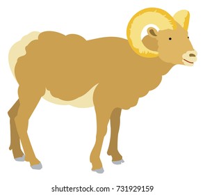 Big Horned Sheep