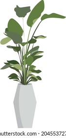 Big House Plant Vector Clipart.
Bird Of Paradise Potted Plant Element.
Isolated Clip Art Plant Illustration.