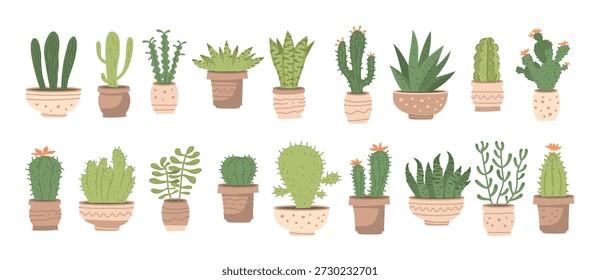 Grandes plantas de interior con diferentes cactus lindos y suculentas en macetas