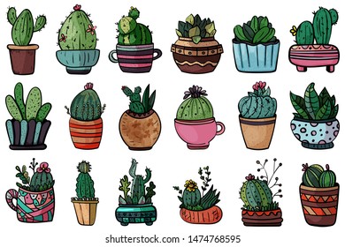Big Houseplants. Set Of Flat Potted Interior Flowers. Botanical illustration. Succulent plant. Scandinavian style, comfort in the house. Hygge. - Vector. Vector illustration