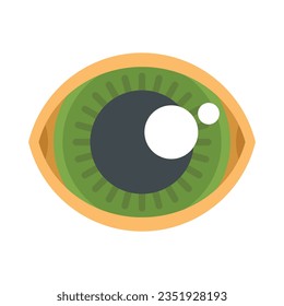 Big human eye icon flat vector. Eyeball sight. View look isolated