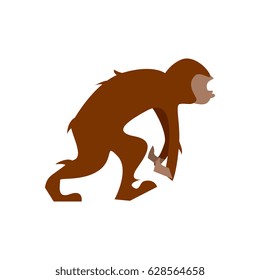 Big humanoid monkey going vector illustration isolated on white background. Animal character in flat design.